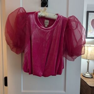 Antgropologie Maeve Fuchsia Velvet Blouse